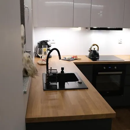 Marleski & Sauna Apartament *