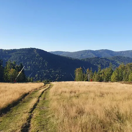 Marleski & Sauna Apartament *