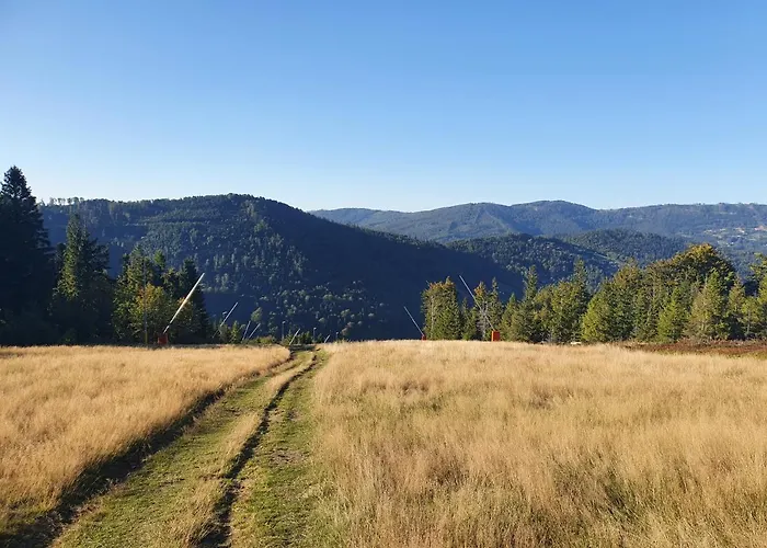 Marleski & Sauna Apartman *